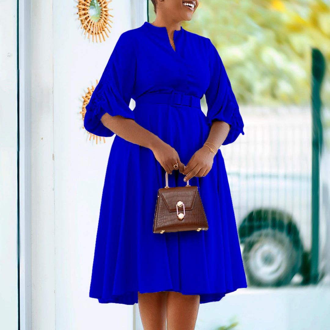 Lantern Sleeve Pleated Dress