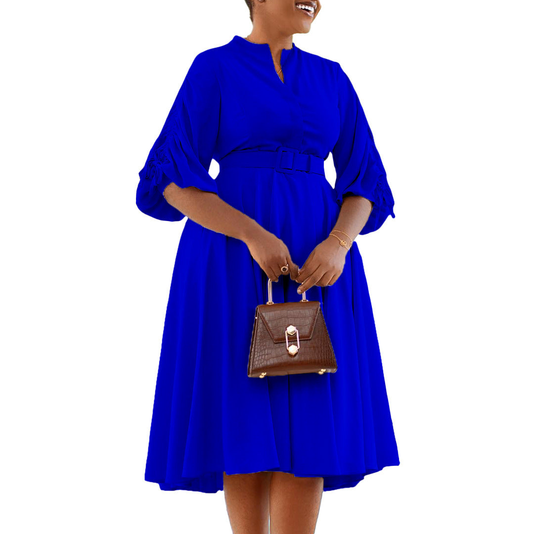 Lantern Sleeve Pleated Dress